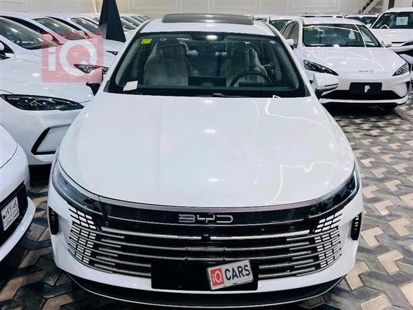 بي واي دي ديستروير 05 2025 للبيع في العراق - النجف